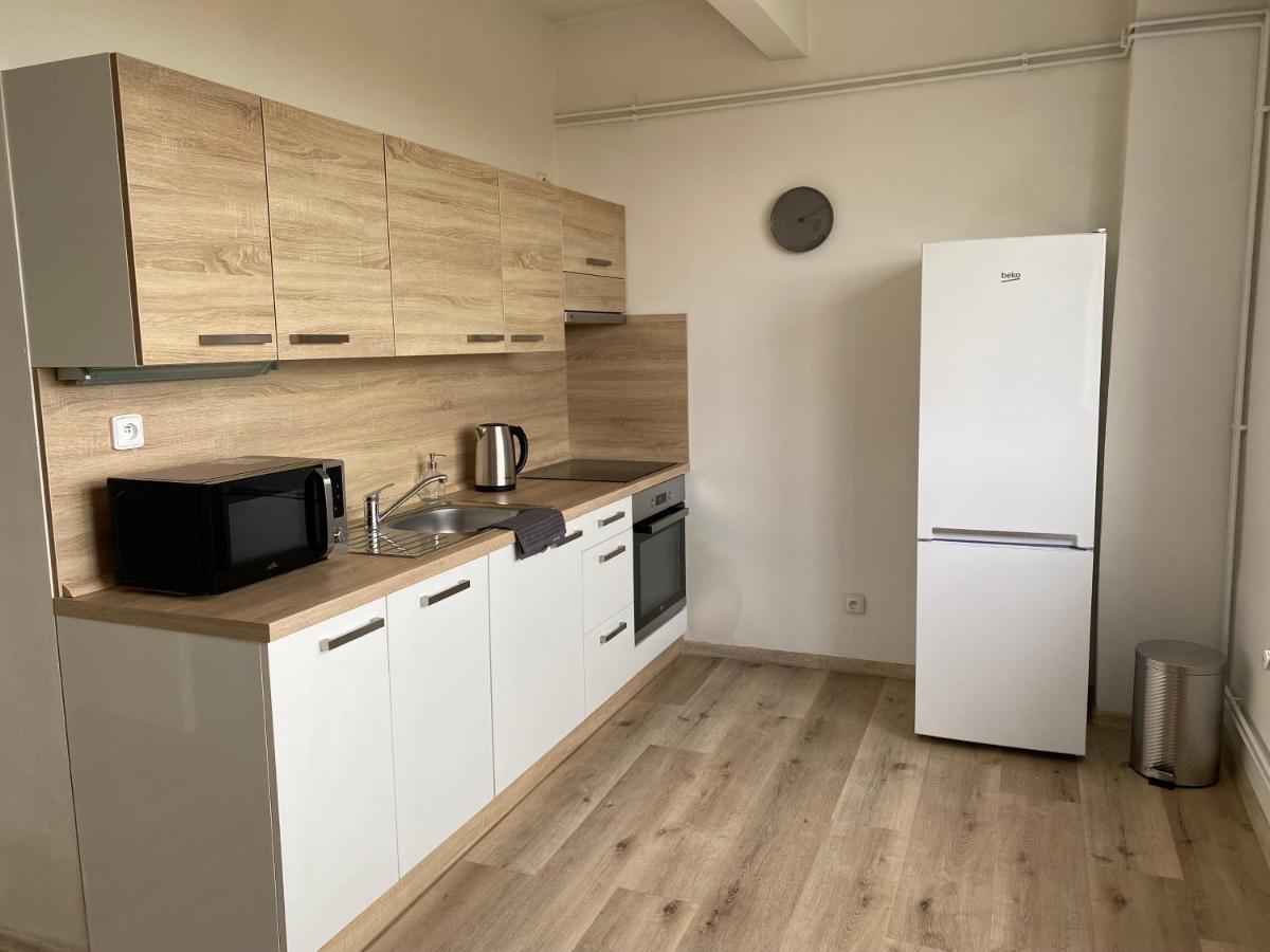 Apartmany Kladno - Libusin エクステリア 写真