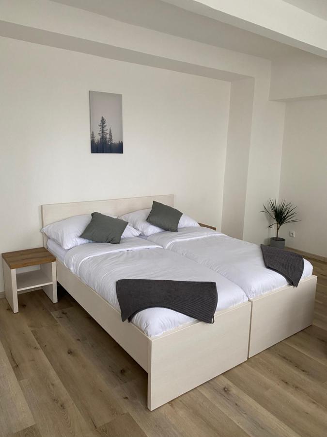 Apartmany Kladno - Libusin エクステリア 写真
